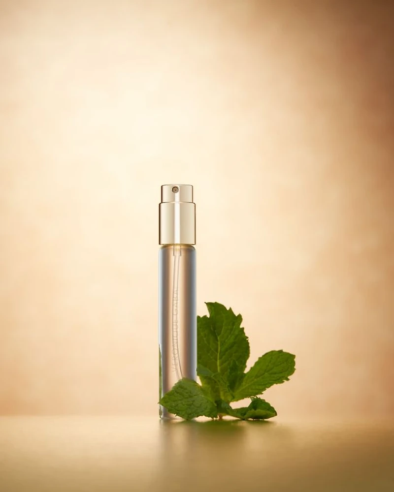 Trio Traveler Gift Set - The Fresh ($267 value)