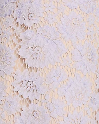 Lace Mini Dress