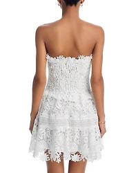 Tiffany Lace Mini Dress