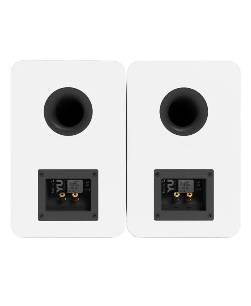 YUP6 Passive Bookshelf Speakers - Pair