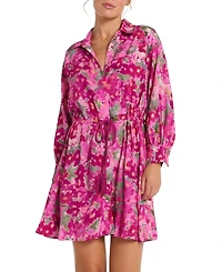 Hermoza Rebecca Collared Mini Dress