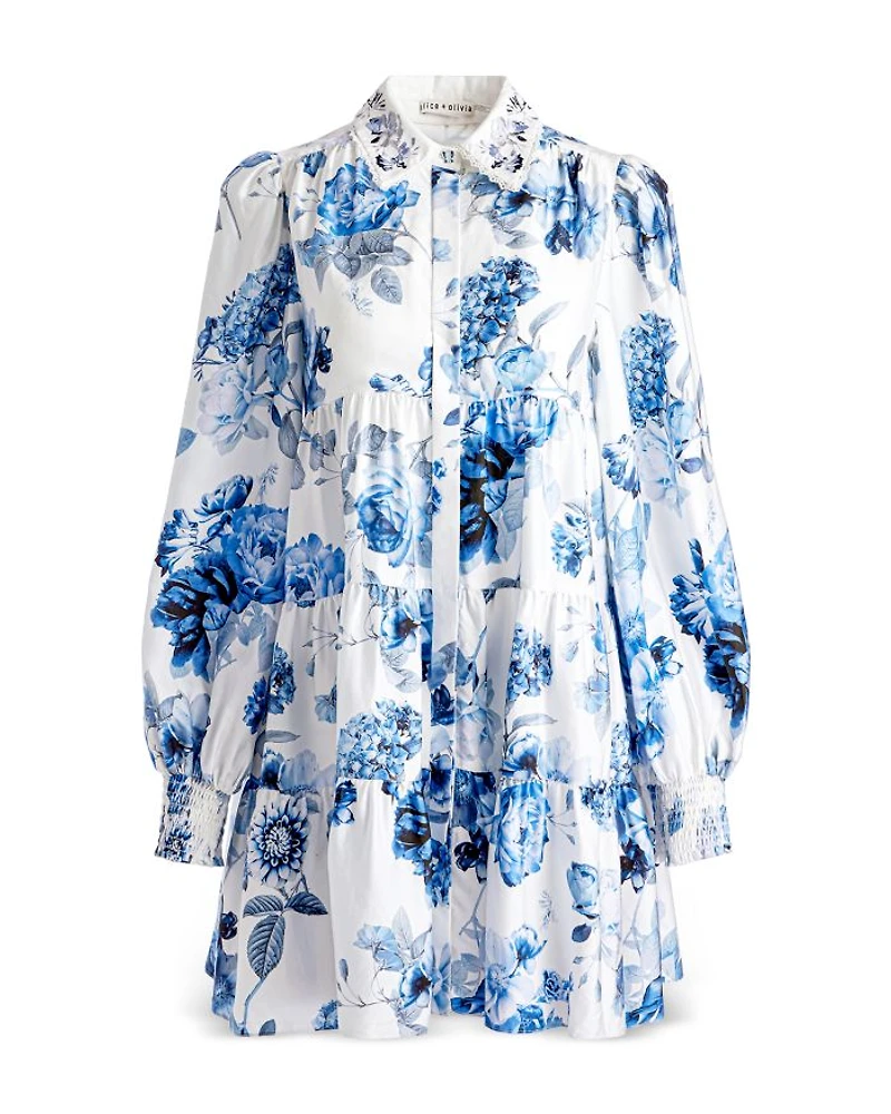 Junia Embroidered Collar Tiered Tunic Mini Dress