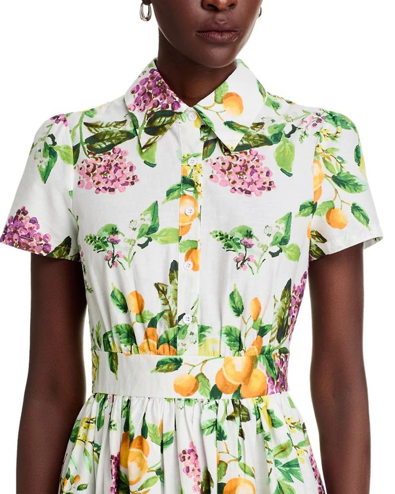 Lemon Print Fit & Flare Poplin Shirt Dress - Exclusive