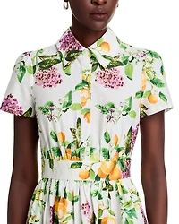 Lemon Print Fit & Flare Poplin Shirt Dress - Exclusive