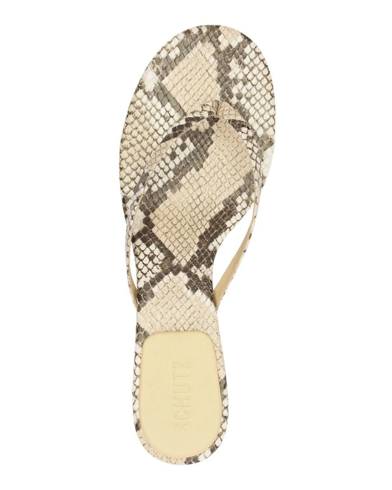 Women's Carolyn Thong Sandals
