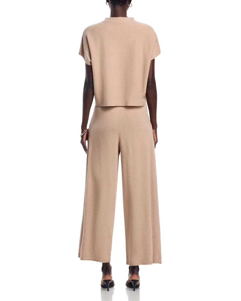 Short Sleeve Sweater Top & Pleated Waist Pants