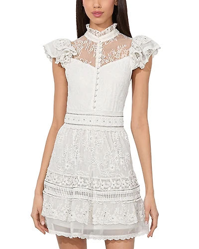 Alice and Olivia Vernita Embroidered Mini Dress