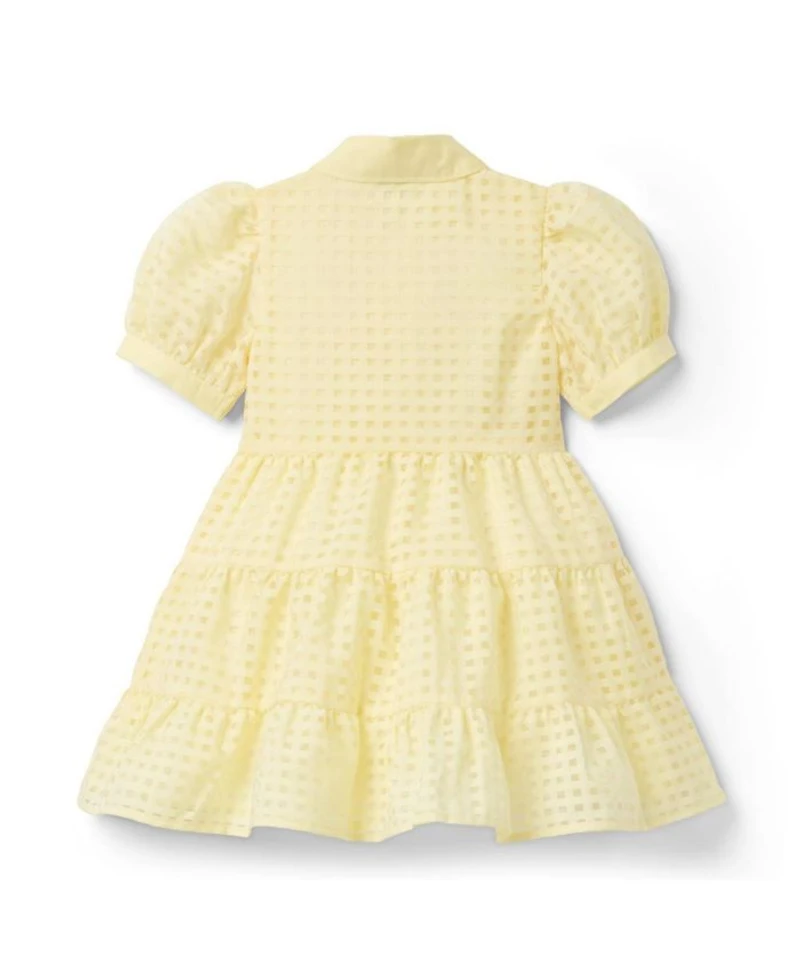 Girls' Checked Organza Dress - Baby, Little Kid, Big Kid