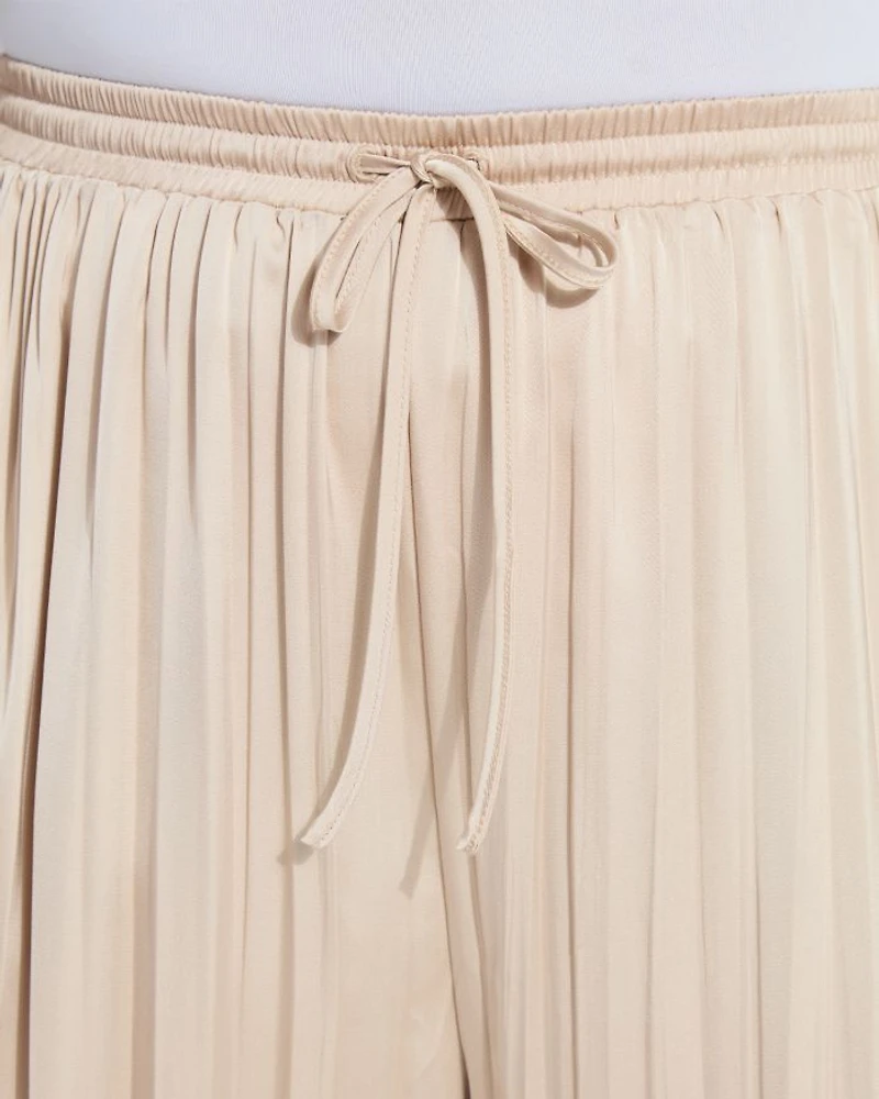 The Packable Pleated Palazzo Pants