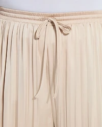 The Packable Pleated Palazzo Pants