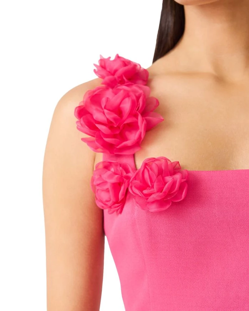Trompe Mini Dress
