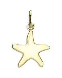 Aqua Star Fish Charm - Exclusive