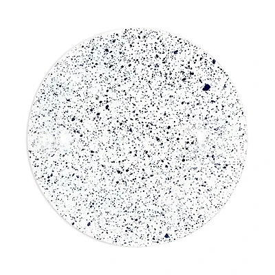 Non Sans Raison Splash Dinner Plate