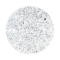 Non Sans Raison Splash Dinner Plate