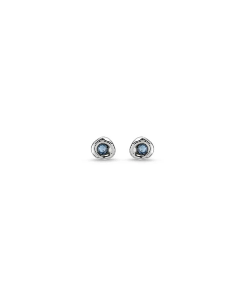 Sterling Silver Plated With Crystal Earrings
