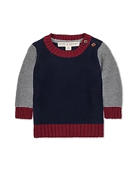 Hope & Henry Organic Long Sleeve Crewneck Pullover Sweater - Baby