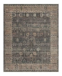 Karastan Echo Grasole Area Rug
