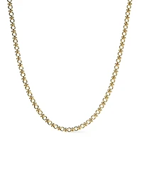 Ana Luisa Hayden Gold Chain Necklace