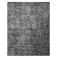 Nourison Twilight TWI04 Collection Area Rug