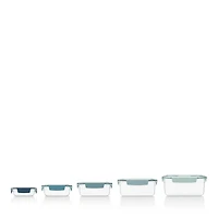 Nest™ Lock 10-Piece Container Set