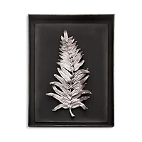 Fern Shadow Box