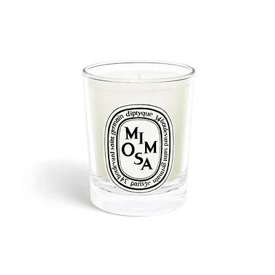 Mimosa Scented Candle