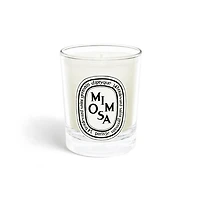 Mimosa Scented Candle