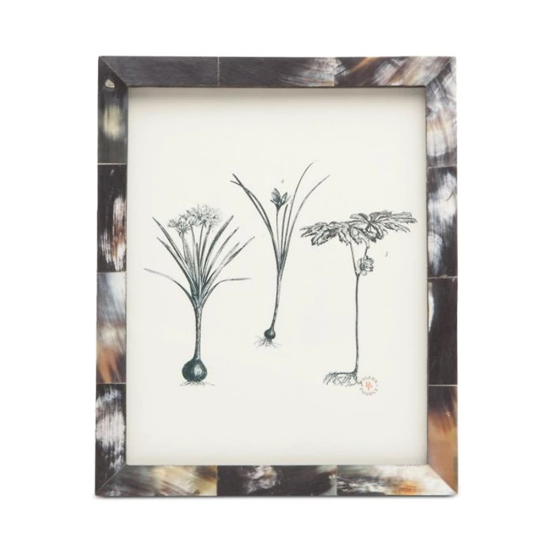 Essen Horn Frame, 8" x 10"