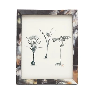 Essen Horn Frame, 8" x 10"