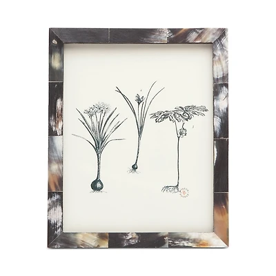 Pigeon & Poodle Essen Horn Frame