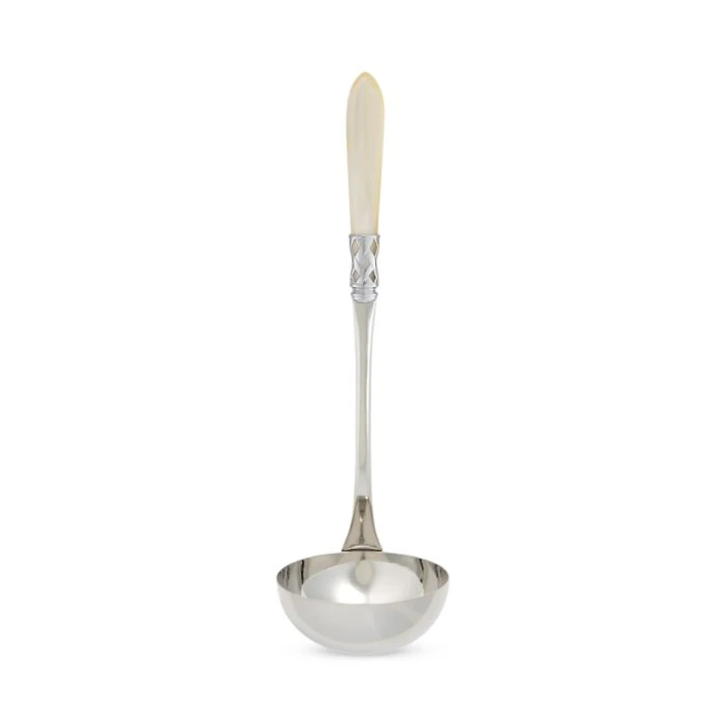 Aladdin Brilliant Soup Ladle