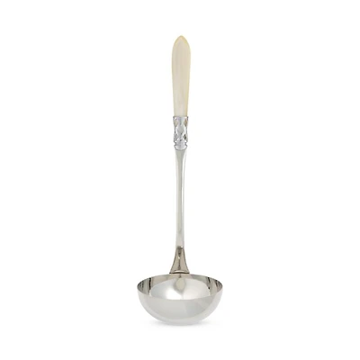 Aladdin Brilliant Soup Ladle
