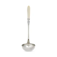 Aladdin Brilliant Soup Ladle
