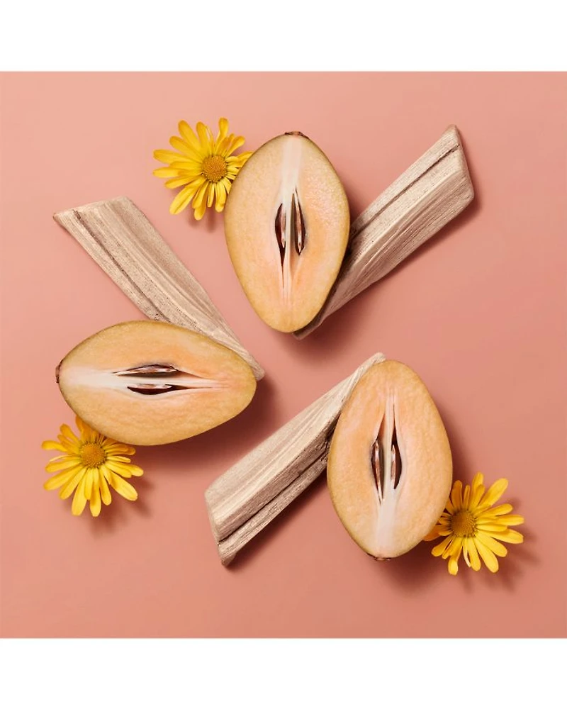 Hermèsistible Infused Lip Care Oil