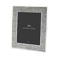 Shagreen Frame