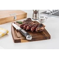 6 Pc Steak Knife Set