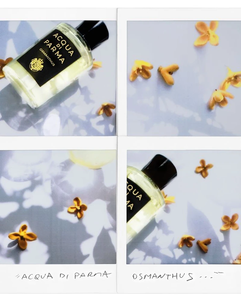 Osmanthus Eau de Parfum 3.4 oz.