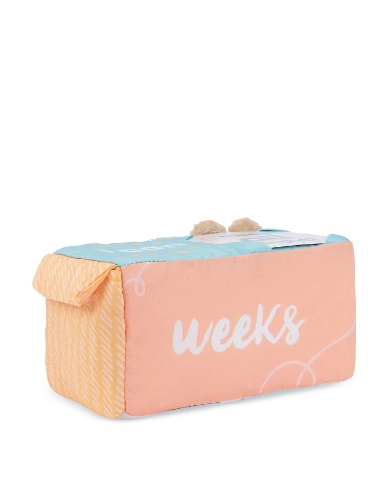 Baby GUND Milestones and Moments Soft Blocks, Plush Photo Prop Sensory Toy Blocks - Ages 0+