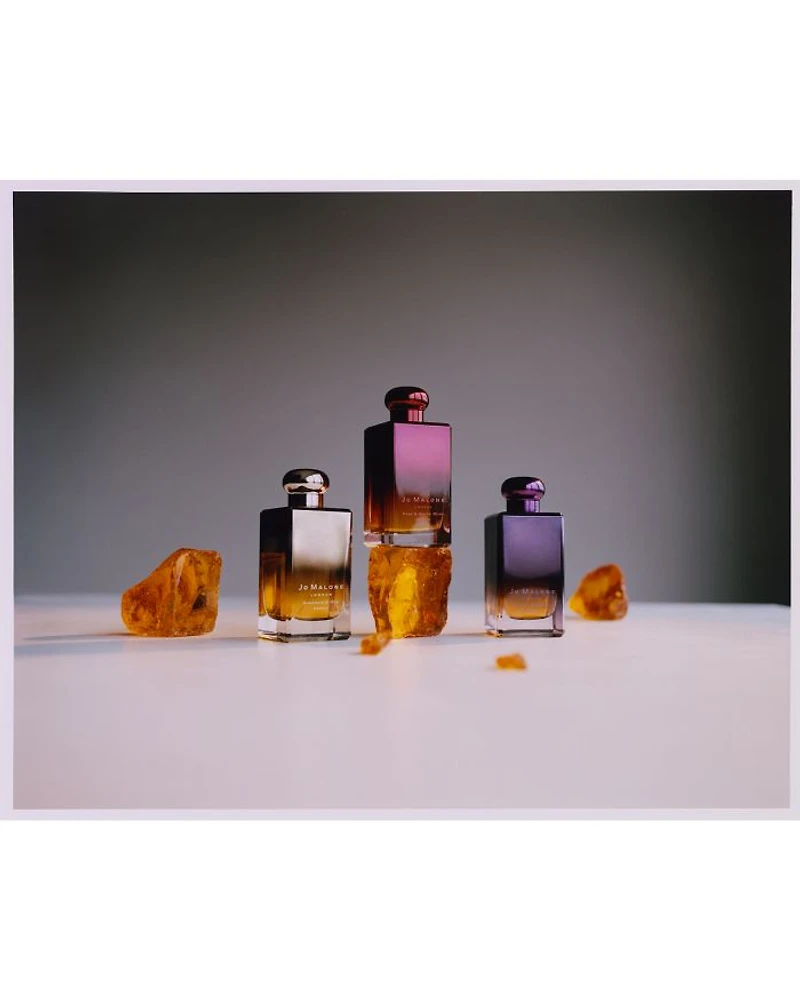 Rose & White Musk Cologne 3.4 oz.