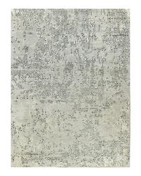 Exquisite Rugs Cosmo ER4529 Area Rug, 8' x 10'
