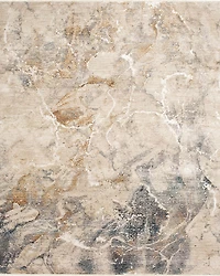 Karastan Echo Tesoro Area Rug, 7'10 x 10'3