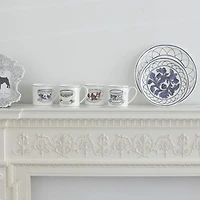 Molly Hatch Rosa Rogosa Mug