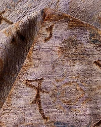 Fine Vibrance M1711 Area Rug