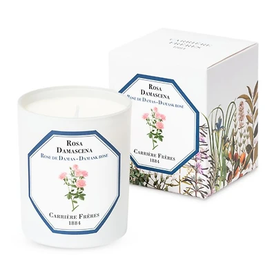 Damask Rose Scented Candle, 6.5 oz.