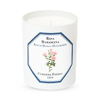 Damask Rose Scented Candle, 6.5 oz.