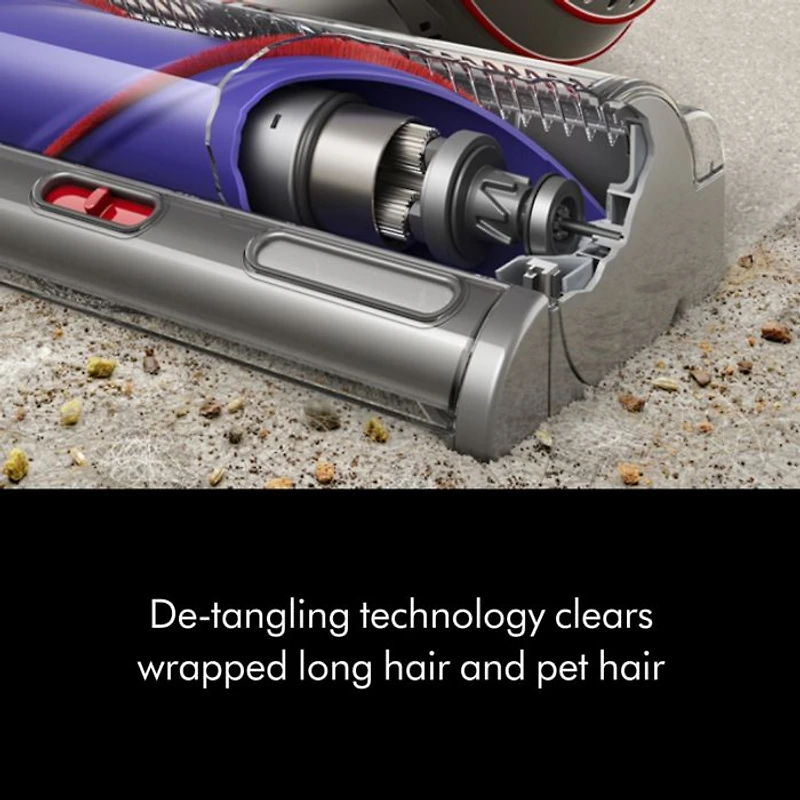 Ball Animal 3 Upright Vacuum