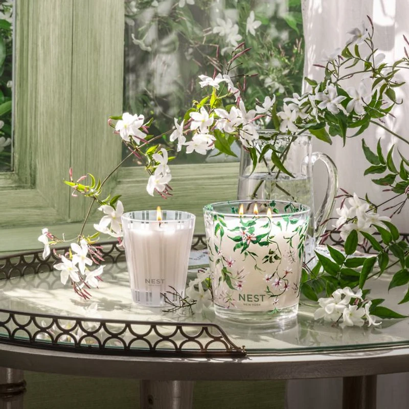 Indian Jasmine Specialty 3-Wick Candle