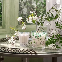 Indian Jasmine Specialty 3-Wick Candle