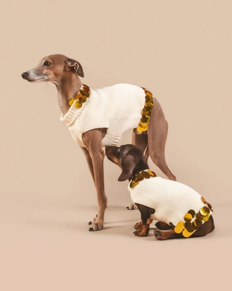 PETITE Cotton Pet Sweater with Gold Paillettes