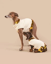 PETITE Cotton Pet Sweater with Gold Paillettes